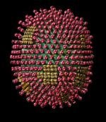 L'immagine di un virus al microscopio