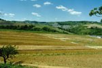 Scorcio di paesaggio collinare in Romagna