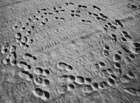 Impronte sulla sabbia