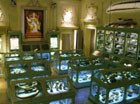 La sala Aldrovandi del museo di Palazzo Poggi