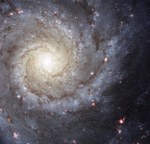 Galassia a spirale M74
