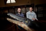 Ecco il coccodrillo più antico del mondo