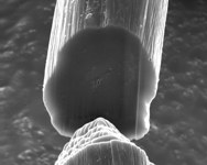 Create negli USA le nuove super fibre nanotecnologiche, sono flessibili al tatto e con prestazioni straordinarie
