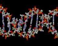 Un gruppo di ricerca del FaBit individua alterazioni epigenetiche indotte dalla cocaina