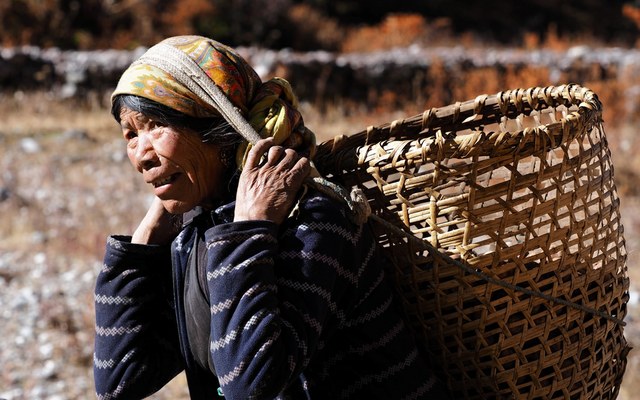 Donna di etnia Sherpa con la tradizionale cesta (doko) porta carichi