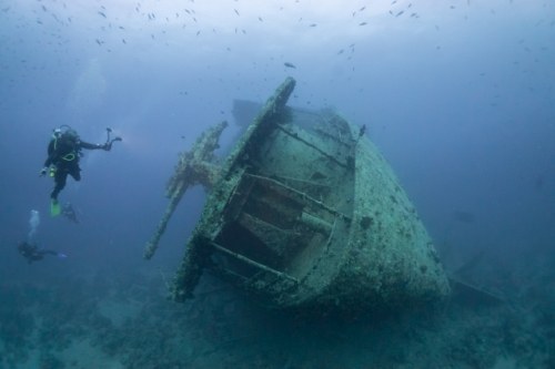 Il relitto sul fondo del Mar Rosso diventato una scogliera corallina  artificiale — UniboMagazine