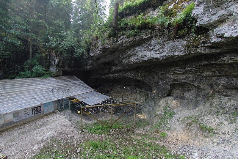 The Riparo Dalmeri archaeological site (Photo: MUSE)