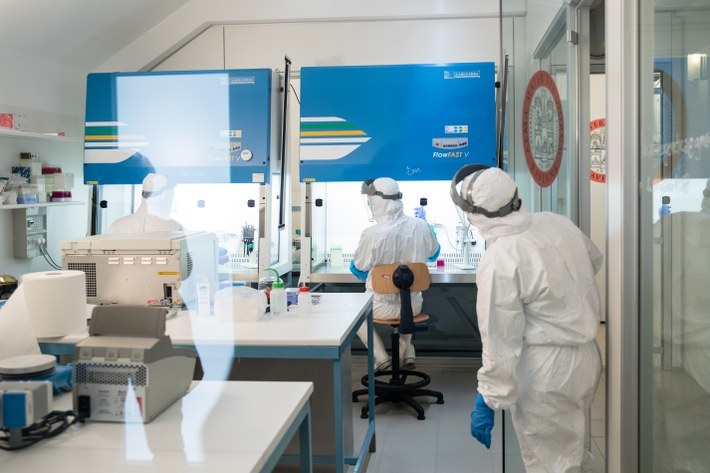 Laboratory analysis in progress (Photo: University of Bologna)