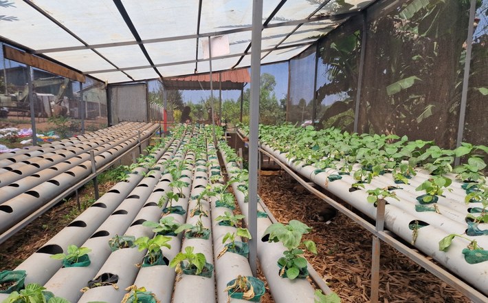 Projects taking root in the Dandora area thanks to the Growth4Change network