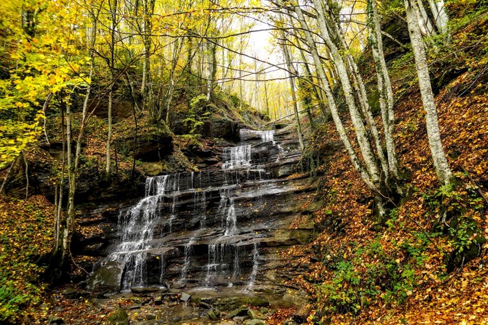 The Casentinesi Forests National Park is home to the Sasso Fratino strict nature reserve