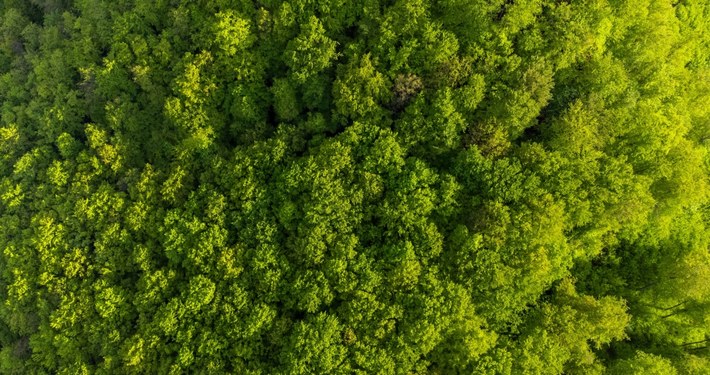 Nature reserves are more resilient to the effects of climate change