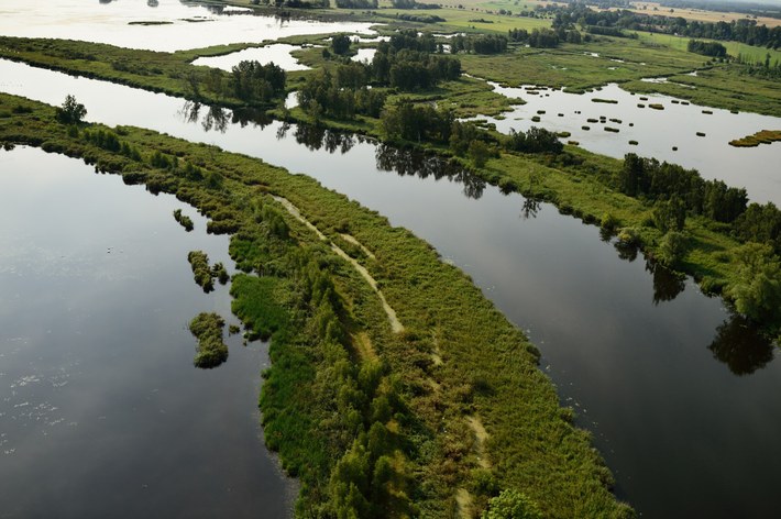 A landscape of the Oder Delta (Photo: Solvin Zankl / Rewilding Europe)
