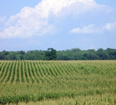 A Bologna il futuro della ricerca agroalimentare europea