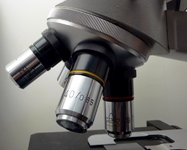 A Bologna la 54esima edizione del simposio internazionale