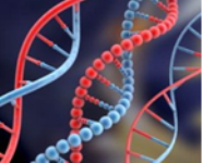 A un docente Unibo la medaglia "A. Mangini 2012"