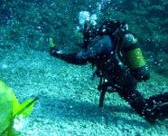 Ai Giardini Margherita ricreato il campo sperimentale del vulcano sottomarino di Panarea