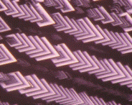 All'Alma Mater due dei Premi AIC 2012