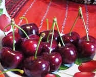 Alle ciliegie Sweet l'Oscar Macfrut per l'innovazione