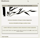 Screenshot del sito Altair per l'apprendimento del cinese in rete