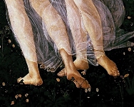 Apre l'ambulatorio didattico di Podologia