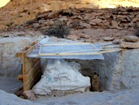 A Bologna il dinosauro scoperto in Tunisia