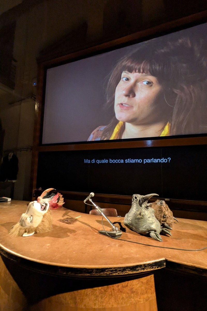 giulia deval. PITCH. Notes on vocal intonation