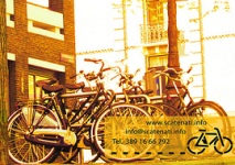 Biciclette all'asta in piazza Puntuni