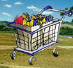 Paesaggio collinare con carrello della spesa in primo piano