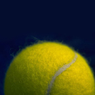 Palla da tennis