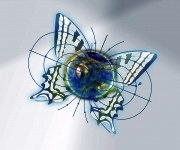 Campi magnetici ed elettromagnetici: danno o risorsa per gli esseri viventi?