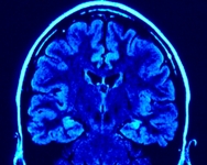 Cervello e pericoli: ecco come ci difendiamo senza saperlo