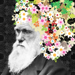 Il Giardino di Darwin