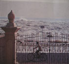 Un'immagine dello Tsunami scattata da Domenico, ex studente dell'Università di Bologna al lavoro in India