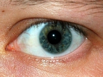 Dove comincia la vista