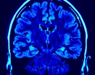 Ecco come il nostro cervello attiva i processi di difesa