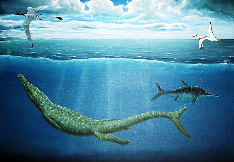 Ecco il coccodrillo più antico del mondo