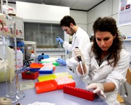 Finanziamenti europei: l'Alma mater è il primo ateneo italiano