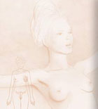 Particolare di uno dei pannelli della mostra