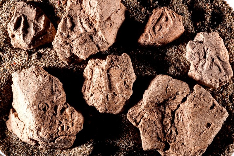 3. Alcune delle numerosissime bullae ritrovate: sigillature di argilla con impronte di sigillo che venivano usate come “bolle di accompagnamento” per lo scambio di merci. Risalgono all’epoca dell’impero ittita, XIII secolo avanti Cristo.