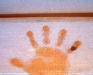 Ibernazione: dalla fantascienza alla realtà