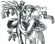 Iconologia e allegoria