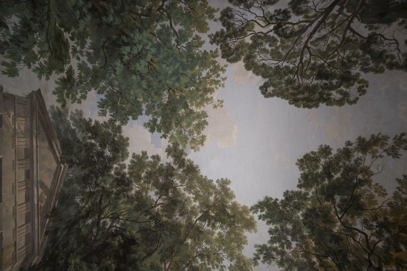 Sala della Boschereccia di Palazzo Hercolani, Rodolfo Fantuzzi (Foto: Antonio Cesari)