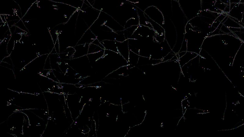 Jenna Sutela, "nimiia cétiï", 2018, video still