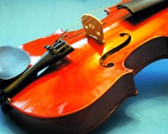 Il concerto in memoria di Luisa Fanti Melloni