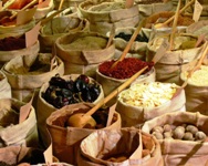 Il mondo che vorrei: laboratori didattici al Museo di Palazzo Poggi