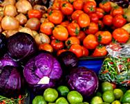 Il mondo della scienza e delle tecnologie alimentari si ritrova a Bologna