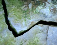 Il progetto Rivivere arriva nelle zone terremotate