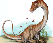 Il sabato del Capellini arriva alla sua decima stagione