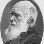 Darwin