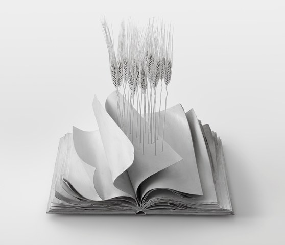 Terra mia - Lorenzo Perrone